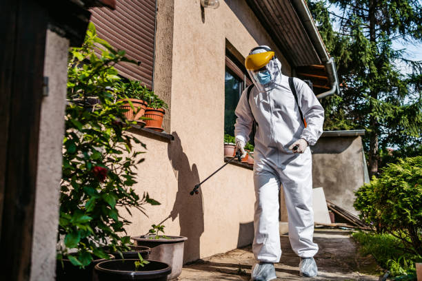 Best Pest Removal Services  in Fairfax, VA