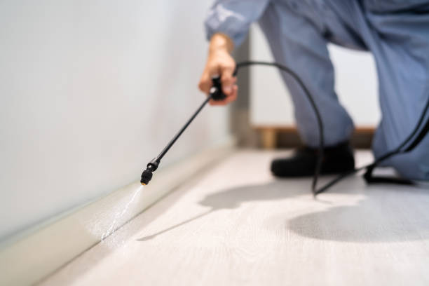 Fairfax, VA Pest Control Company