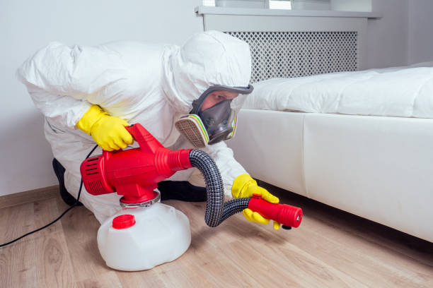 Best Flea Control Services  in Fairfax, VA