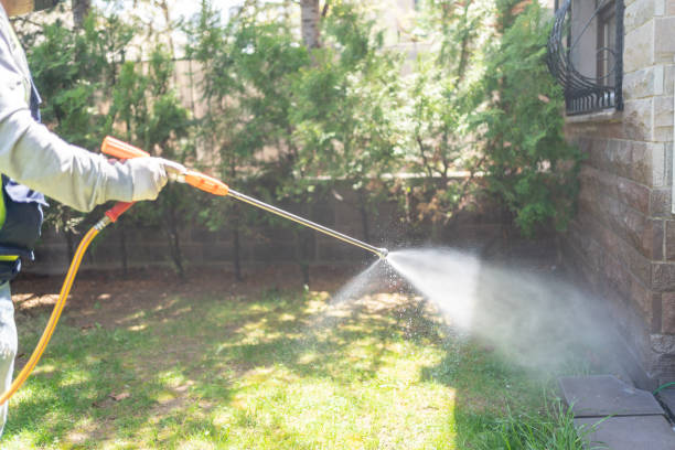Best Wildlife Control Services  in Fairfax, VA