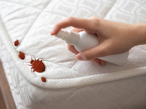 Best Exterminator Services  in Fairfax, VA