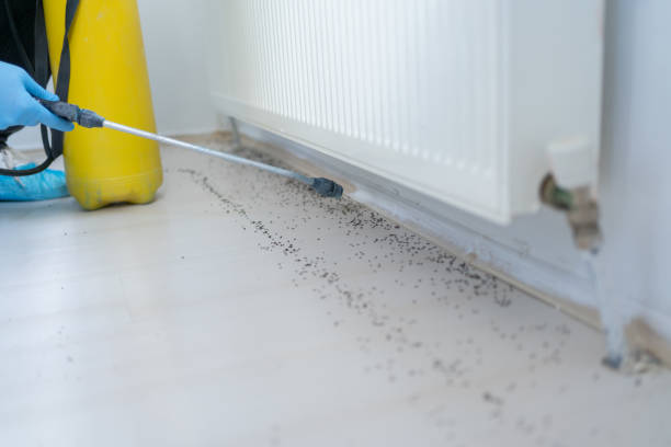 Best Best Pest Control Near Me  in Fairfax, VA