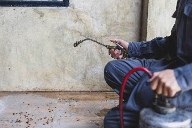 Pest Prevention Services in Fairfax, VA